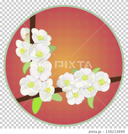 Illustration of white quince flowers with a circular background Illustration of white quince flowers with a circular background 138213699