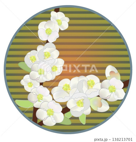 円形背景のついた白いボケの花イラスト 138213701
