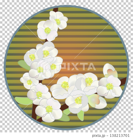 Illustration of white quince flowers with a circular background 138213701
