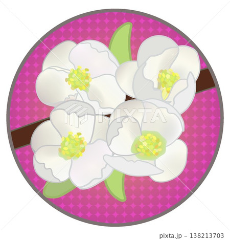 円形背景のついた白いボケの花イラスト 138213703