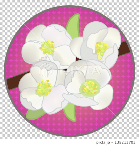 円形背景のついた白いボケの花イラスト 138213703