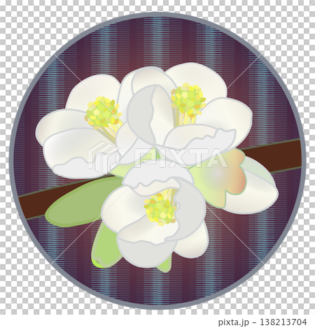 Illustration of white quince flowers with a circular background Illustration of white quince flowers with a circular background 138213704