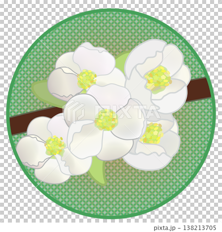Illustration of white quince flowers with a circular background Illustration of white quince flowers with a circular background 138213705