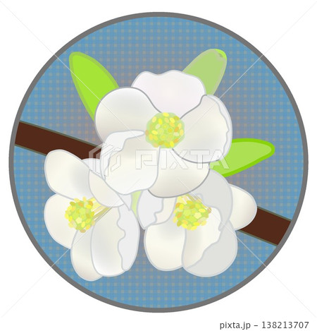 円形背景のついた白いボケの花イラスト 138213707