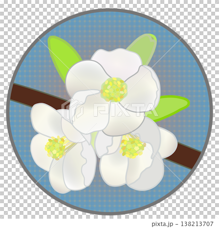 円形背景のついた白いボケの花イラスト 138213707