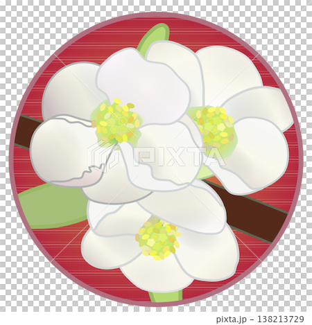 Illustration of white quince flowers with a circular background Illustration of white quince flowers with a circular background 138213729