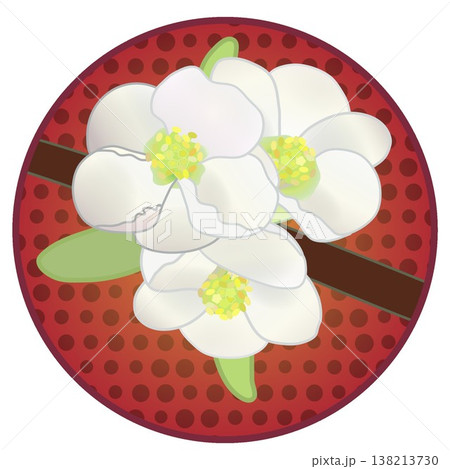 円形背景のついた白いボケの花イラスト 円形背景のついた白いボケの花イラスト 138213730