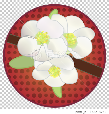 円形背景のついた白いボケの花イラスト 円形背景のついた白いボケの花イラスト 138213730