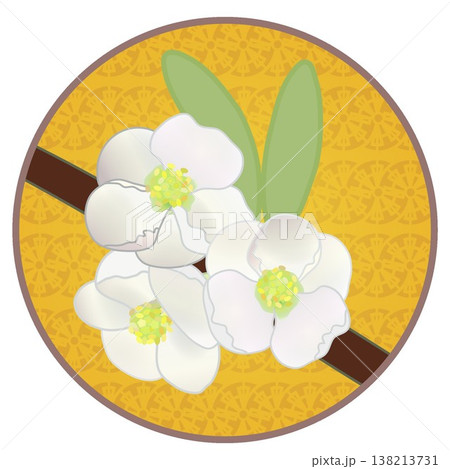 円形背景のついた白いボケの花イラスト 円形背景のついた白いボケの花イラスト 138213731