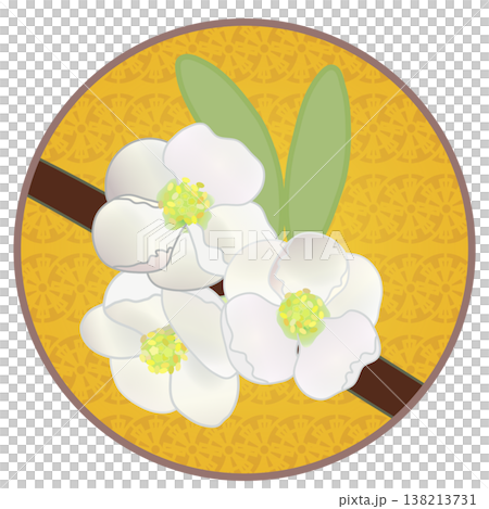 円形背景のついた白いボケの花イラスト 円形背景のついた白いボケの花イラスト 138213731