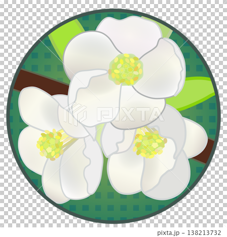 Illustration of white quince flowers with a circular background Illustration of white quince flowers with a circular background 138213732