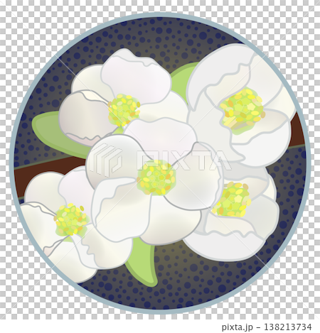 Illustration of white quince flowers with a circular background Illustration of white quince flowers with a circular background 138213734