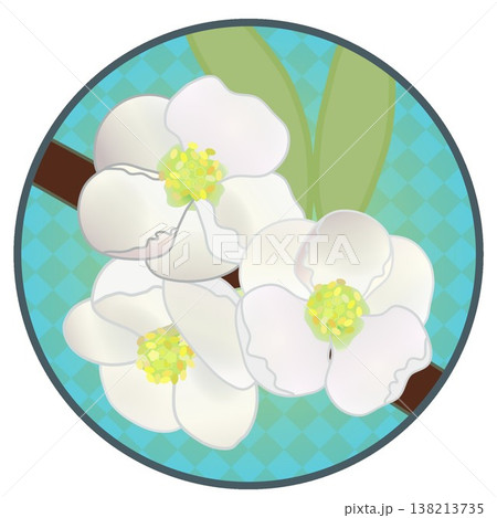 円形背景のついた白いボケの花イラスト 138213735