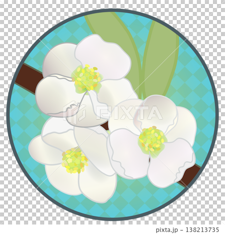 Illustration of white quince flowers with a circular background Illustration of white quince flowers with a circular background 138213735