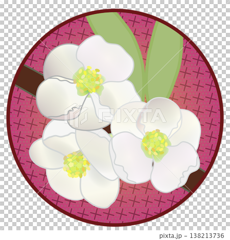 Illustration of white quince flowers with a circular background Illustration of white quince flowers with a circular background 138213736