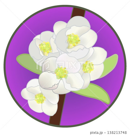円形背景のついた白いボケの花イラスト 円形背景のついた白いボケの花イラスト 138213748