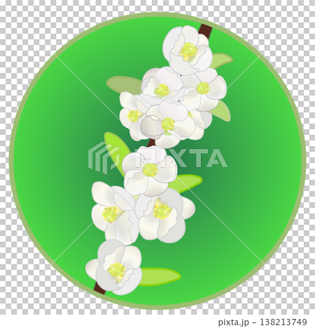 円形背景のついた白いボケの花イラスト 138213749