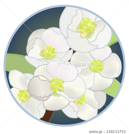 円形背景のついた白いボケの花イラスト 円形背景のついた白いボケの花イラスト 138213752