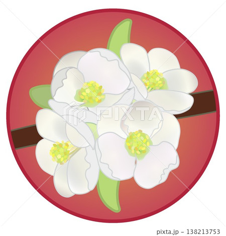 円形背景のついた白いボケの花イラスト 138213753