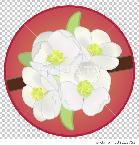 円形背景のついた白いボケの花イラスト 138213753