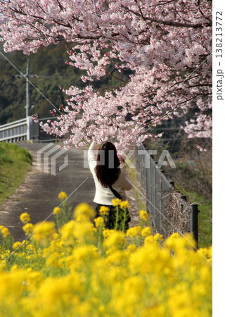 桜と菜の花と若い女性 桜と菜の花と若い女性 138213772
