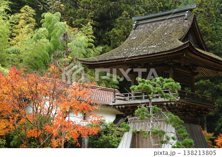 慧日寺の紅葉 慧日寺の紅葉 138213805
