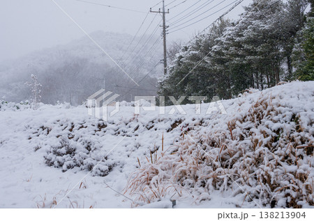 北矢名の雪景色 北矢名の雪景色 138213904