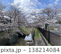 川沿いのソメイヨシノ 138214084