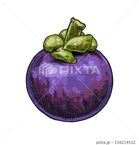 Mangosteen fruit Mangosteen fruit 138214522