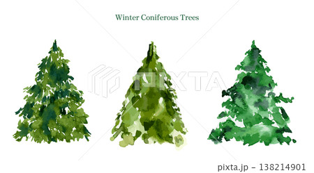 冬の木のイラストセット、水彩による針葉樹、クリスマス素材 138214901