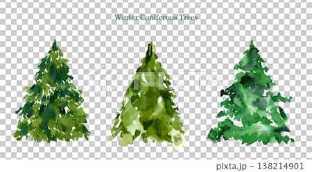 冬の木のイラストセット、水彩による針葉樹、クリスマス素材 138214901