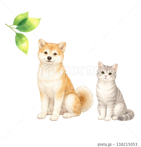 犬と猫と新緑のシンプル素材 ナチュラルでかわいいペットイメージ 白背景 138215053