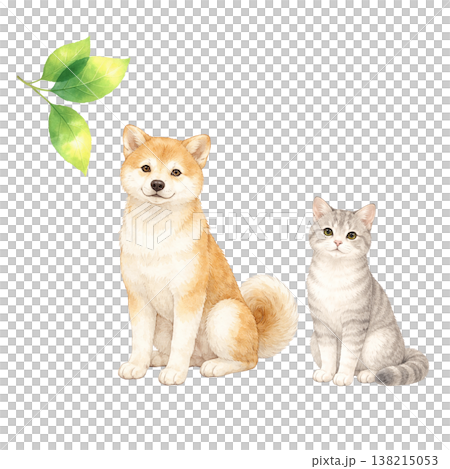 犬と猫と新緑のシンプル素材 ナチュラルでかわいいペットイメージ 白背景 138215053