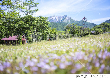 奥大山の新緑・初夏のサイクリングイメージ（鍵掛峠付近） 138215130