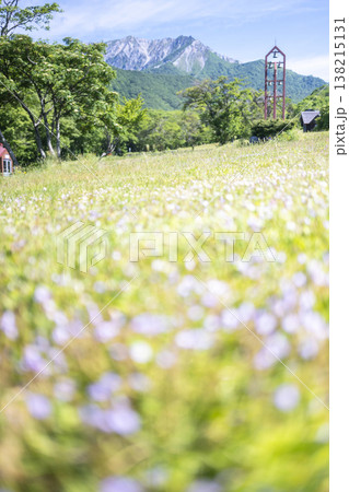 奥大山の新緑・初夏のサイクリングイメージ（鍵掛峠付近） 138215131