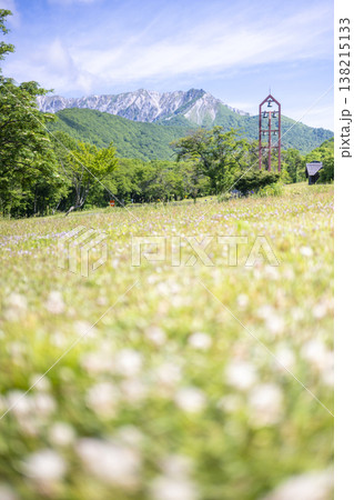奥大山の新緑・初夏のサイクリングイメージ(鍵掛峠付近) 奥大山の新緑・初夏のサイクリングイメージ(鍵掛峠付近) 138215133