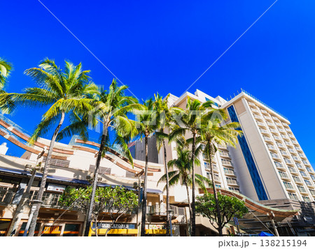 ハワイのイメージ　リゾートホテルとヤシの木 138215194