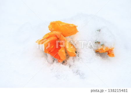 雪に埋もれたパンジーの花 雪に埋もれたパンジーの花 138215481