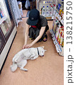 看板犬のかわいい四万温泉のコンビニわしの屋酒店 138215750