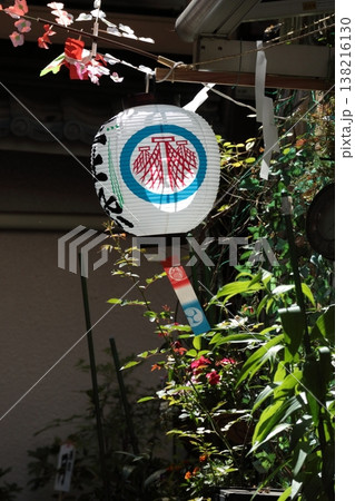 三社祭の提灯 138216130