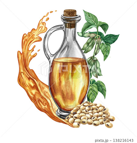 Soybean oil. Glass bottle, a handful of soybeans, and a stem with leaves and pods. Hand-drawn watercolor illustration. For menus, recipes, and cookbooks. For banners, packaging, labels, and more. Soybean oil. Glass bottle, a handful of soybeans, and a stem with leaves and pods. Hand-drawn watercolor illustration. For menus, recipes, and cookbooks. For banners, packaging, labels, and more. 138216143