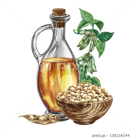 Soybean oil. A glass bottle of oil, soybeans in a wooden cup, and a soybean stalk with leaves and pods. A hand-drawn watercolor illustration. For menus, recipes and banners, packaging, labels and more Soybean oil. A glass bottle of oil, soybeans in a wooden cup, and a soybean stalk with leaves and pods. A hand-drawn watercolor illustration. For menus, recipes and banners, packaging, labels and more 138216144