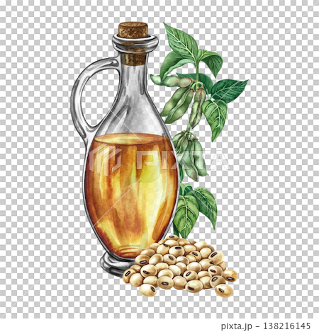 Soybean oil. Glass bottle, a handful of soybeans, and a stalk with leaves and pods. Hand-drawn watercolor illustration. For menus, recipes, and cookbooks. For banners, packaging, labels, and more. Soybean oil. Glass bottle, a handful of soybeans, and a stalk with leaves and pods. Hand-drawn watercolor illustration. For menus, recipes, and cookbooks. For banners, packaging, labels, and more. 138216145