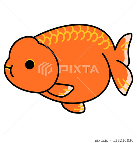 もみじらんちゅうのイラスト もみじらんちゅうのイラスト 138216830