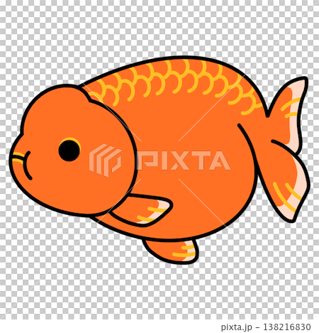 もみじらんちゅうのイラスト もみじらんちゅうのイラスト 138216830