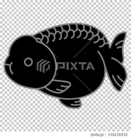 黒らんちゅうのイラスト 黒らんちゅうのイラスト 138216832