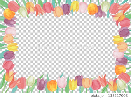 彩色鬱金香相框 2 138217008