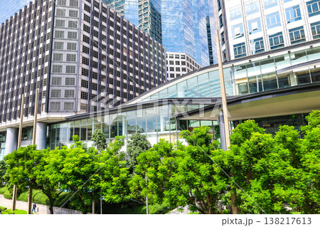 緑のあるビル街の風景 138217613