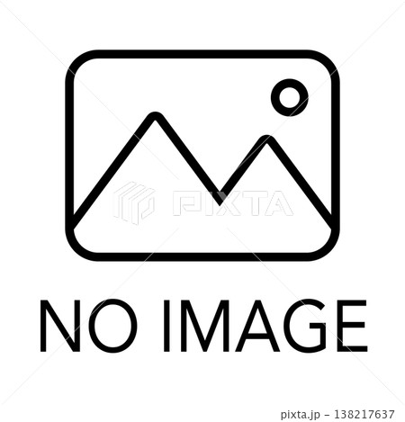 写真アイコン NO IMAGE ダミー用素材 文字入り 138217637