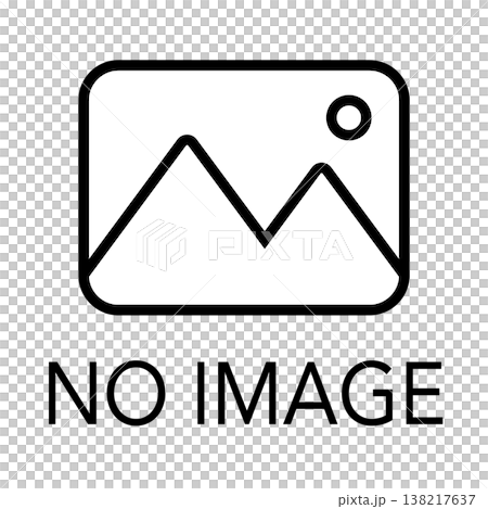 写真アイコン NO IMAGE ダミー用素材 文字入り 138217637